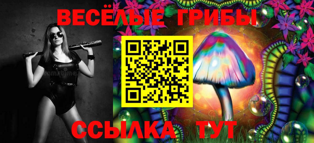 Галлюциногенные грибы Magic Shrooms  Вход с VPN  Павлово  Галлюциногенные грибы мицелий 